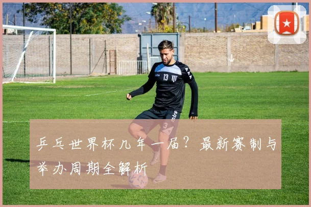 乒乓世界杯几年一届?最新赛制与举办周期全解析