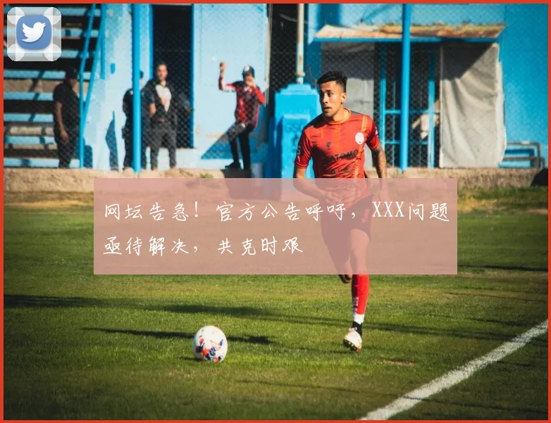 网坛告急！官方公告呼吁，XXX问题亟待解决，共克时艰